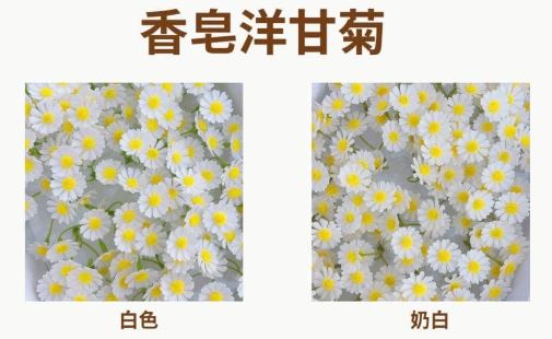 Soap Flowers