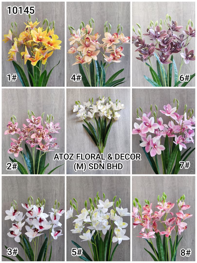 Cymbidium Orchid x 5 | Short Flowers