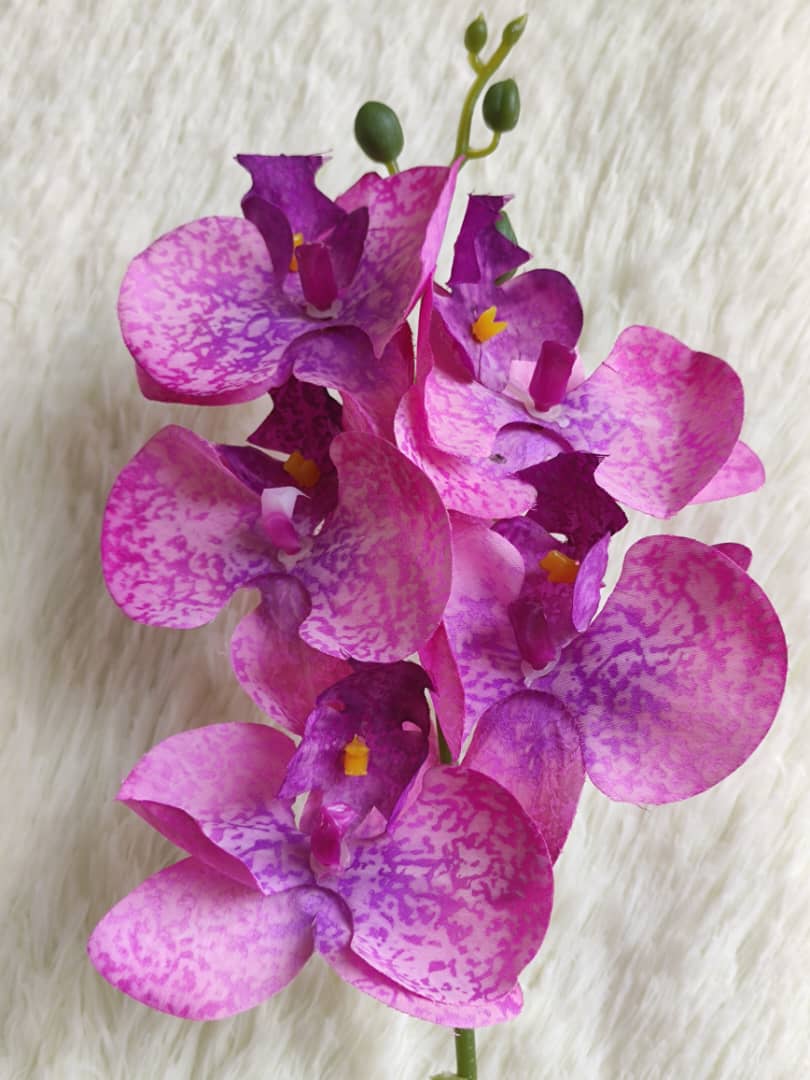 Orchid x 5 (56cm) | Short Flowers