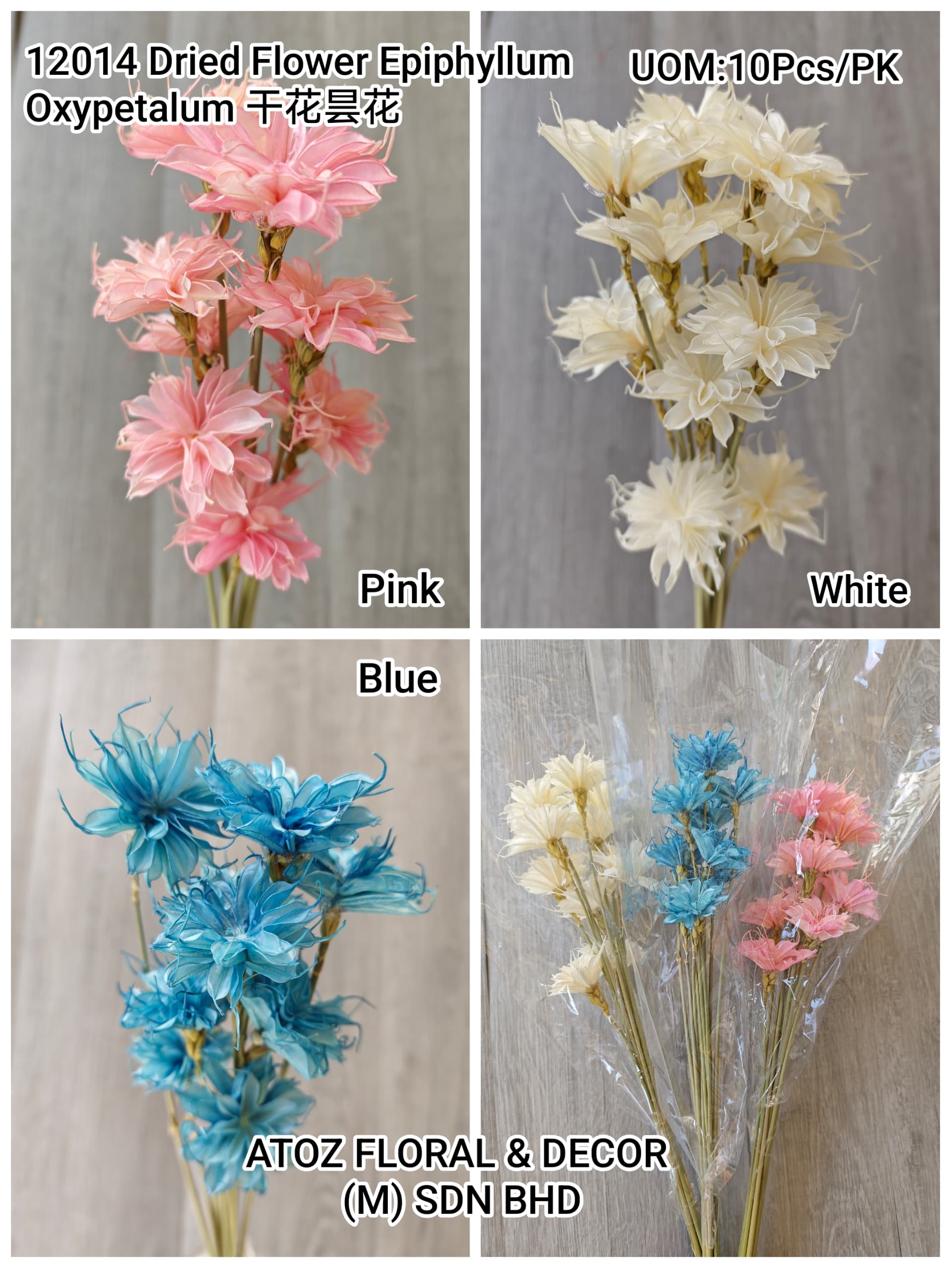 Dried Flower Epiphyllum Oxypetalum (10Pcs) 干花昙花 | Dried Flowers