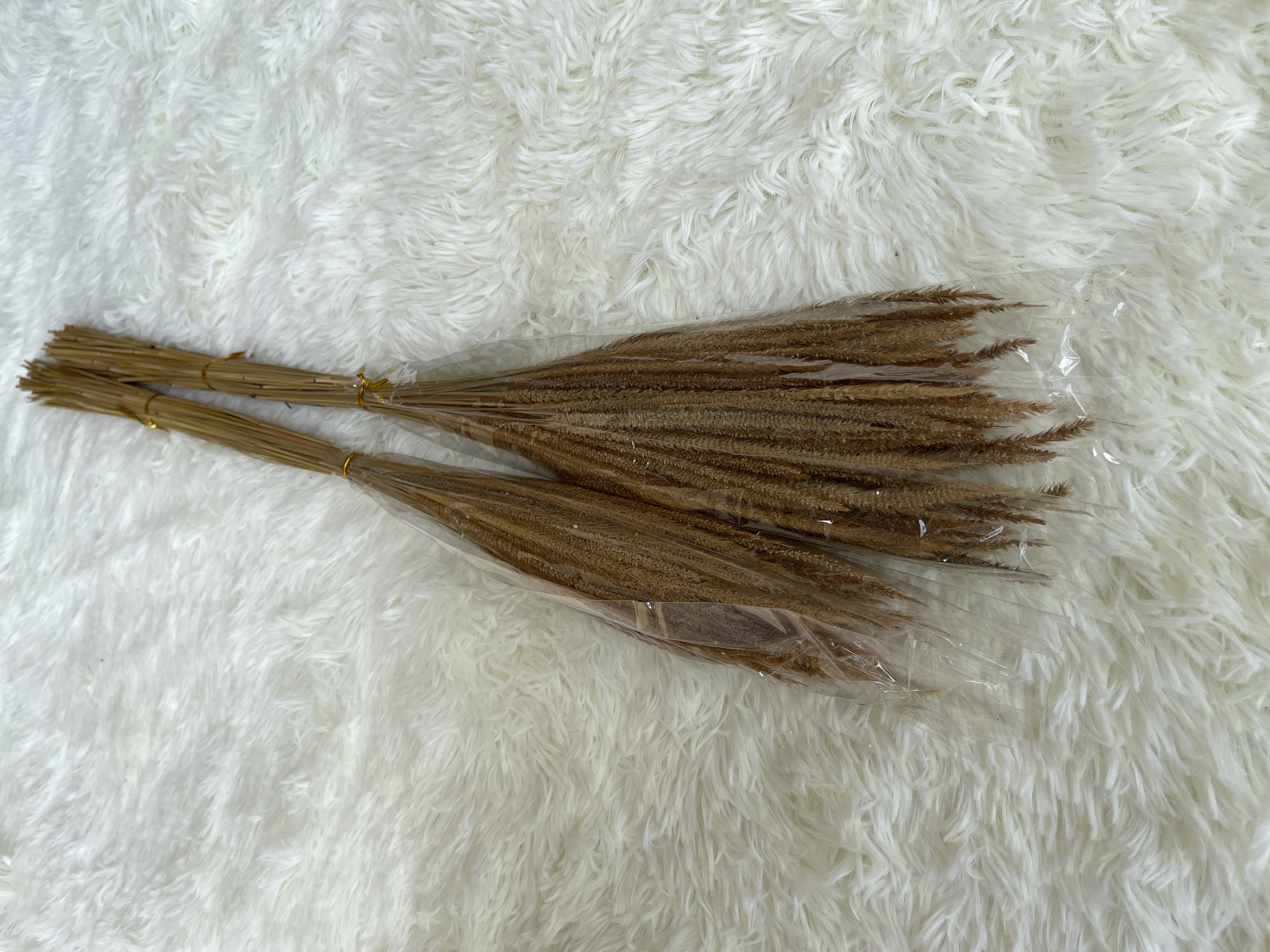 Solidago altissima 麒麟草 | Dried Flowers