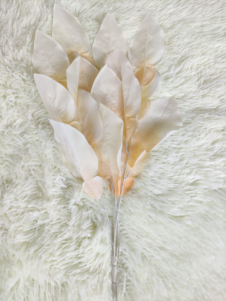 Persimmon Leaf (Diospyros kaki) 柿子叶 x 4 (55cm) | Fillers