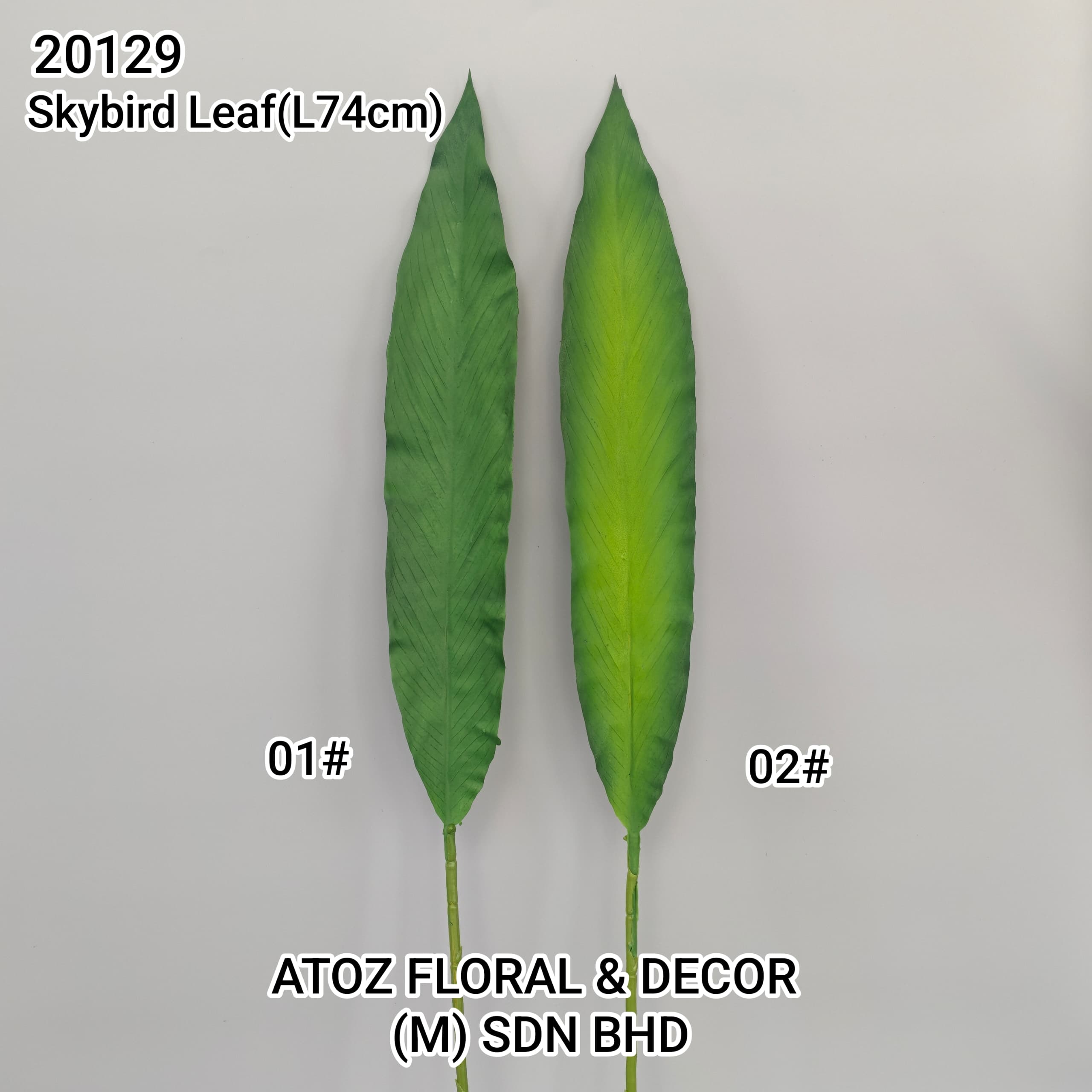Skybird Leaf (74cm) | Fillers