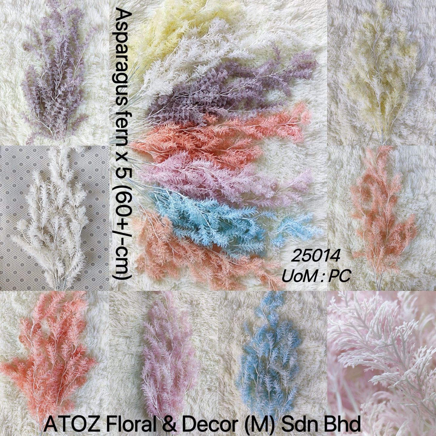 Asparagus fern x 5 (60+/-cm) 迷雾垂钓叶 | Fillers