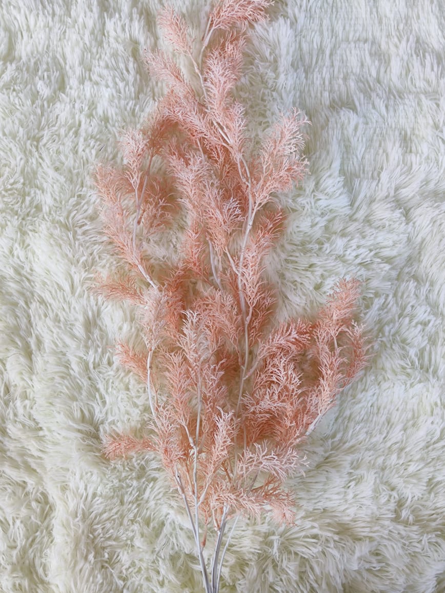 Asparagus fern x 5 (60+/-cm) 迷雾垂钓叶 | Fillers
