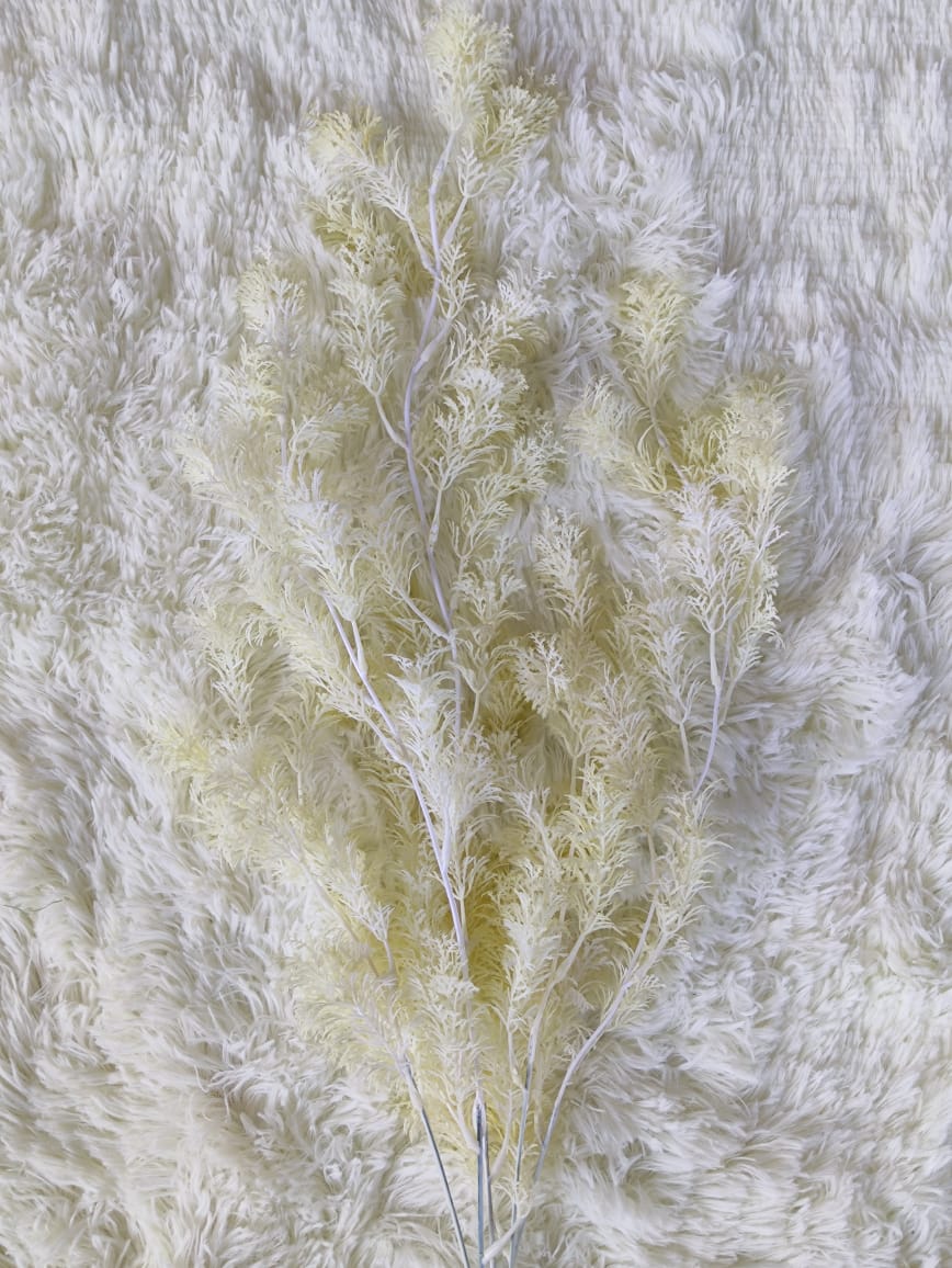 Asparagus fern x 5 (60+/-cm) 迷雾垂钓叶 | Fillers