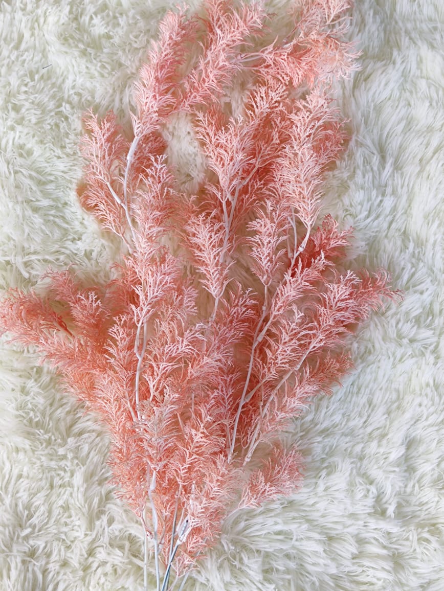 Asparagus fern x 5 (60+/-cm) 迷雾垂钓叶 | Fillers
