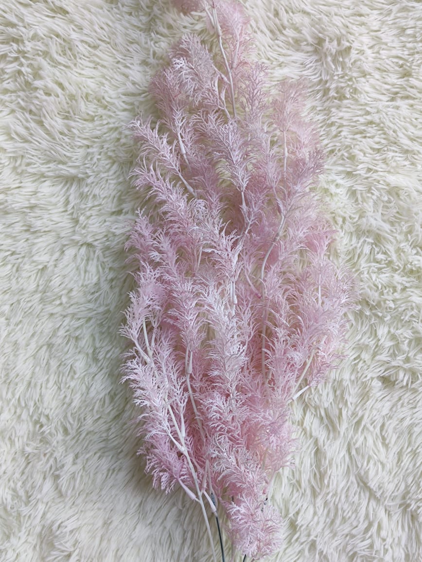 Asparagus fern x 5 (60+/-cm) 迷雾垂钓叶 | Fillers