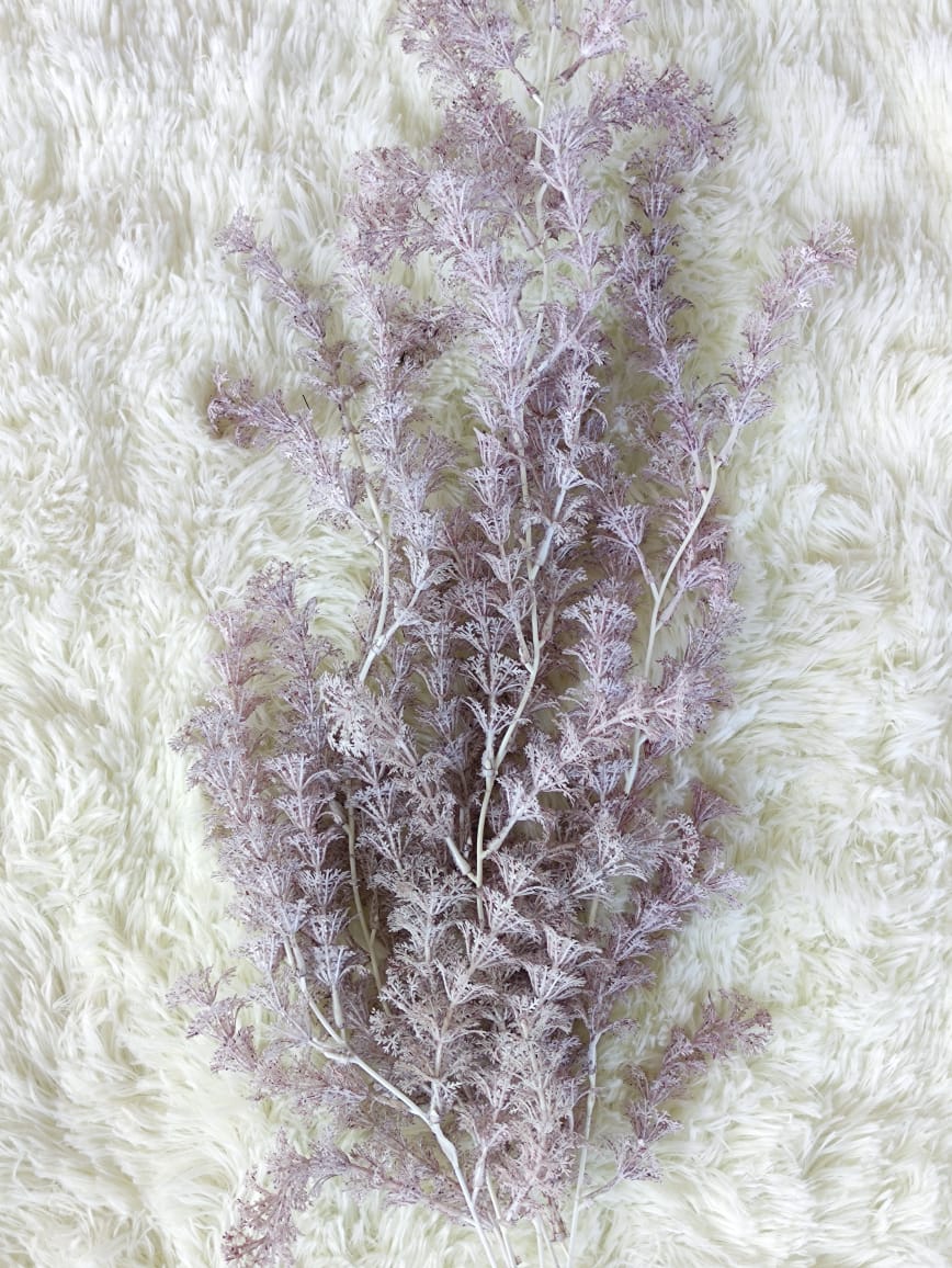 Asparagus fern x 5 (60+/-cm) 迷雾垂钓叶 | Fillers