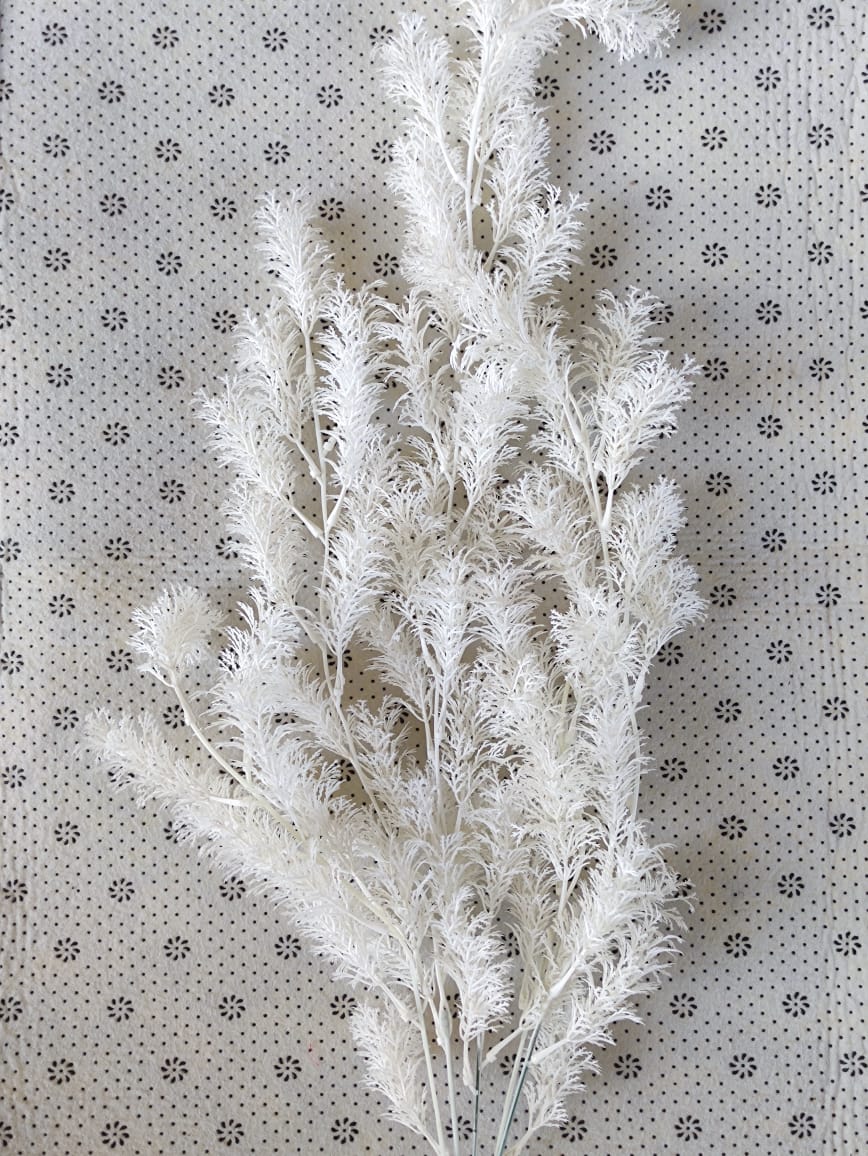 Asparagus fern x 5 (60+/-cm) 迷雾垂钓叶 | Fillers