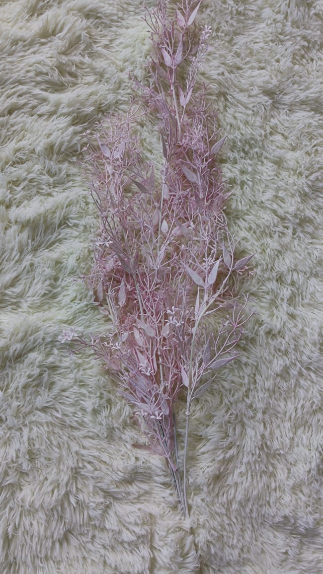 Platycerium wallichii Hook. x 5 (78cm) 垂钓鹿角-Light Pink | Fillers