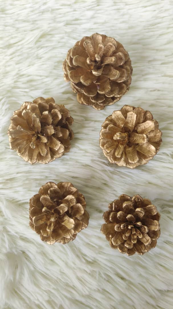 Pine cone (Small) 松果 | Decorative Accessories