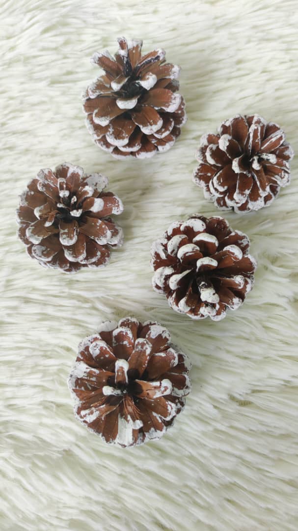 Pine cone (Small) 松果 | Decorative Accessories