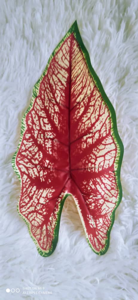 18 Heads Alocasia with Pot (70cm) | Trees & Plants