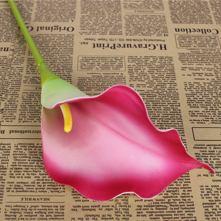 Calla Lily 74cm (PU4) 马蹄莲 | Short Flowers