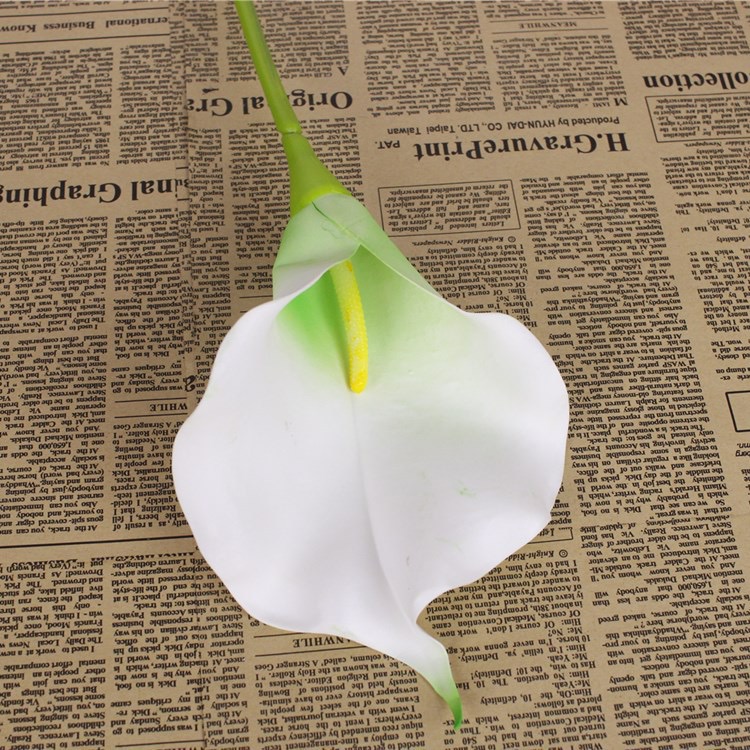 Calla Lily 74cm (PU4) 马蹄莲 | Short Flowers