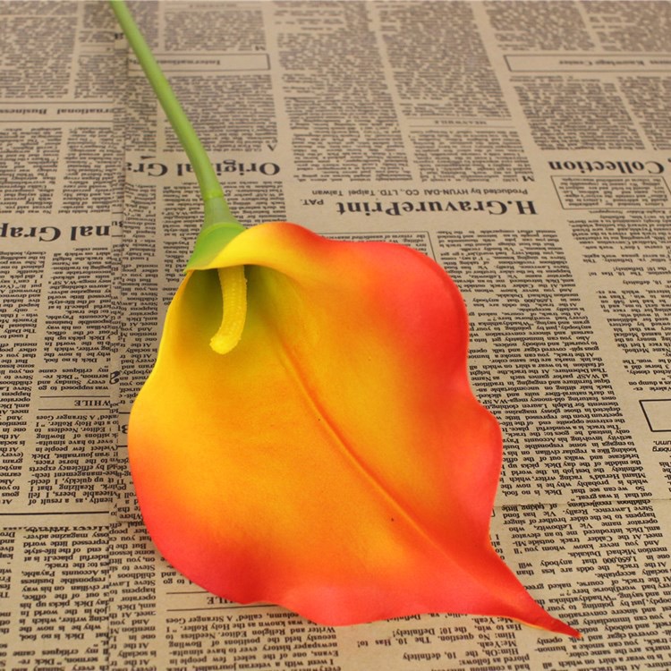 Calla Lily 74cm (PU4) 马蹄莲 | Short Flowers