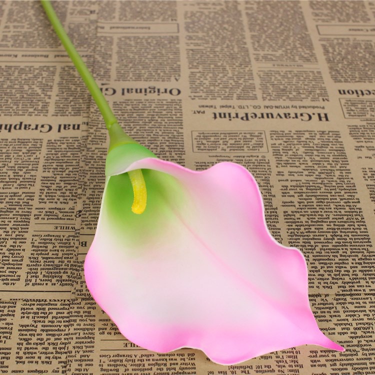 Calla Lily 74cm (PU4) 马蹄莲 | Short Flowers