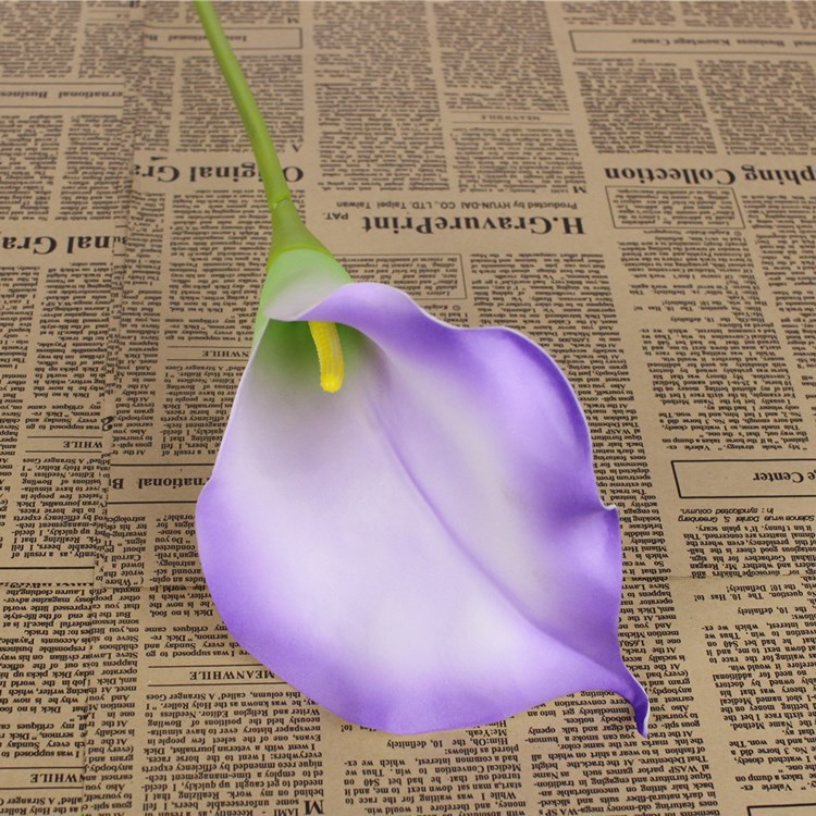Calla Lily 74cm (PU4) 马蹄莲 | Short Flowers