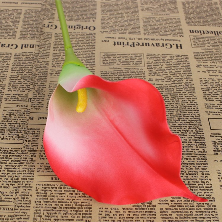 Calla Lily 74cm (PU4) 马蹄莲 | Short Flowers