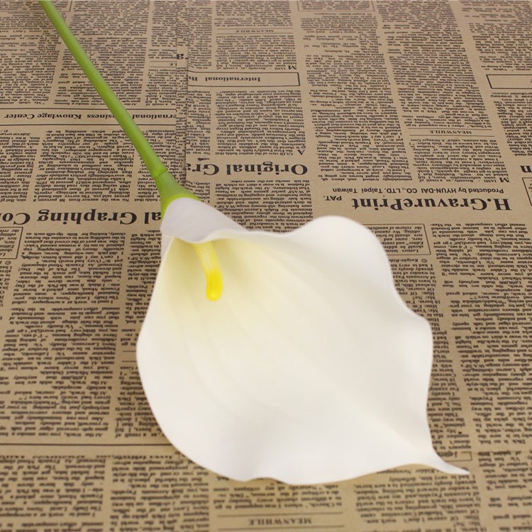 Calla Lily 74cm (PU4) 马蹄莲 | Short Flowers