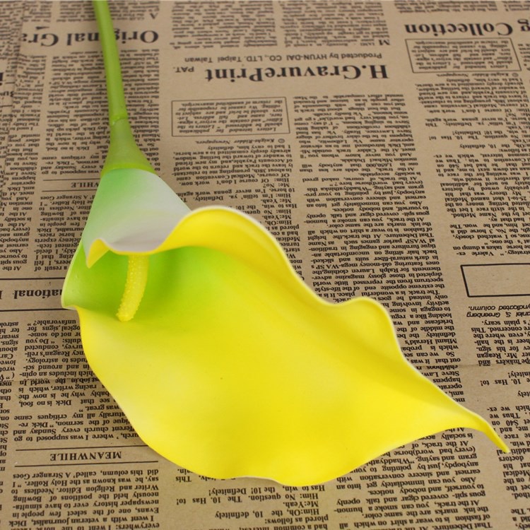 Calla Lily 74cm (PU4) 马蹄莲 | Short Flowers