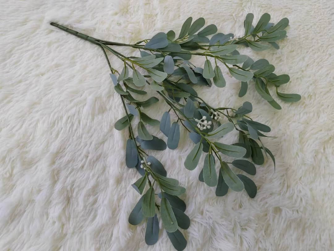 5 Heads Common Jujube Leaf | Fillers