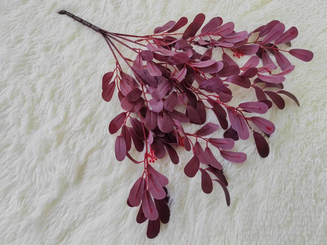 5 Heads Common Jujube Leaf | Fillers