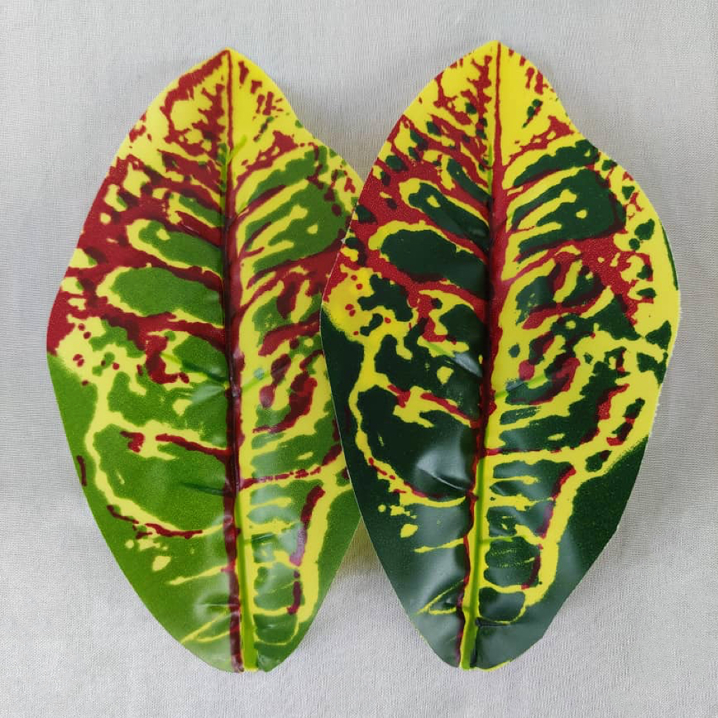 9 Heads Codiaeum 9头变叶木 | Trees & Plants