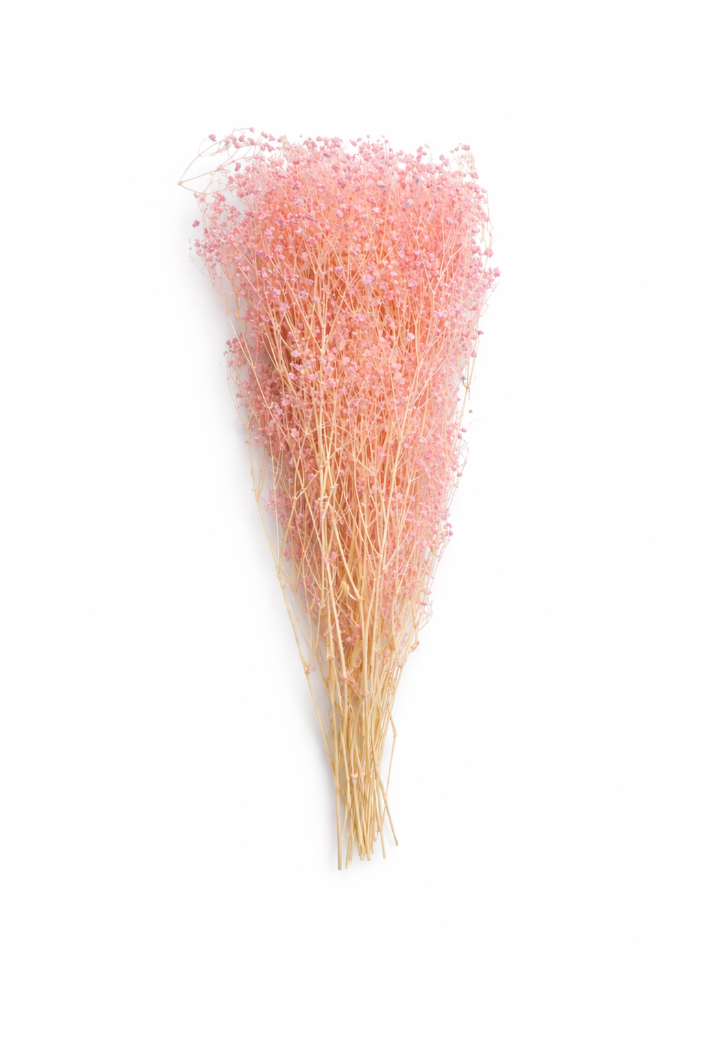 Eternal Baby's Breath Gypsophila 梦幻满天星 | Dried Flowers