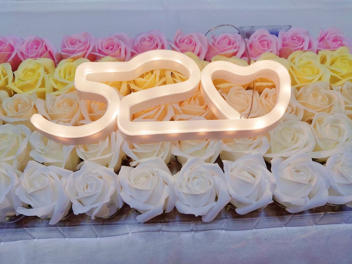 520 LED Light (24.5Lx10Hcm) LED 灯  | Decor & Handcraft