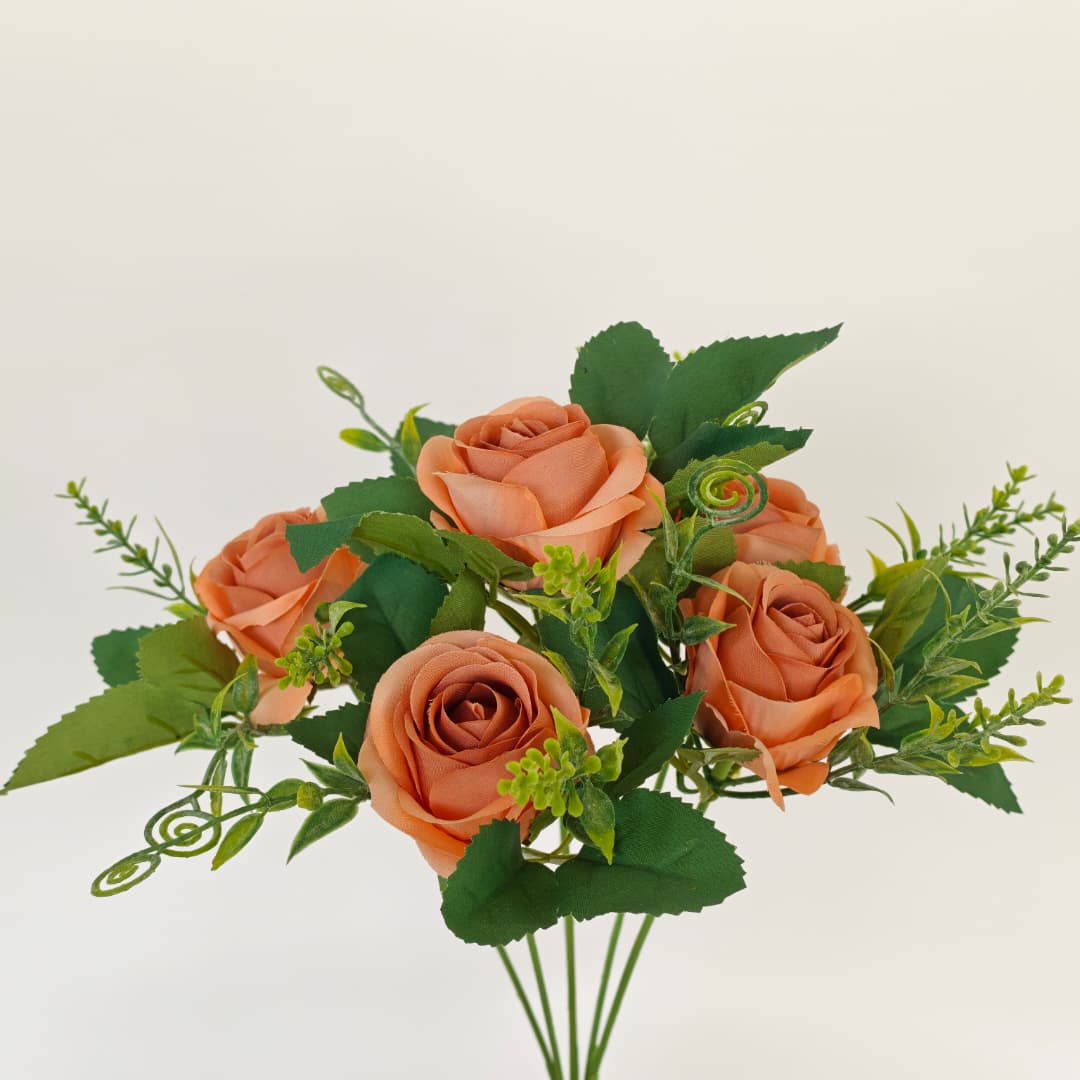 Brazil Rose x 6 | Short Flowers