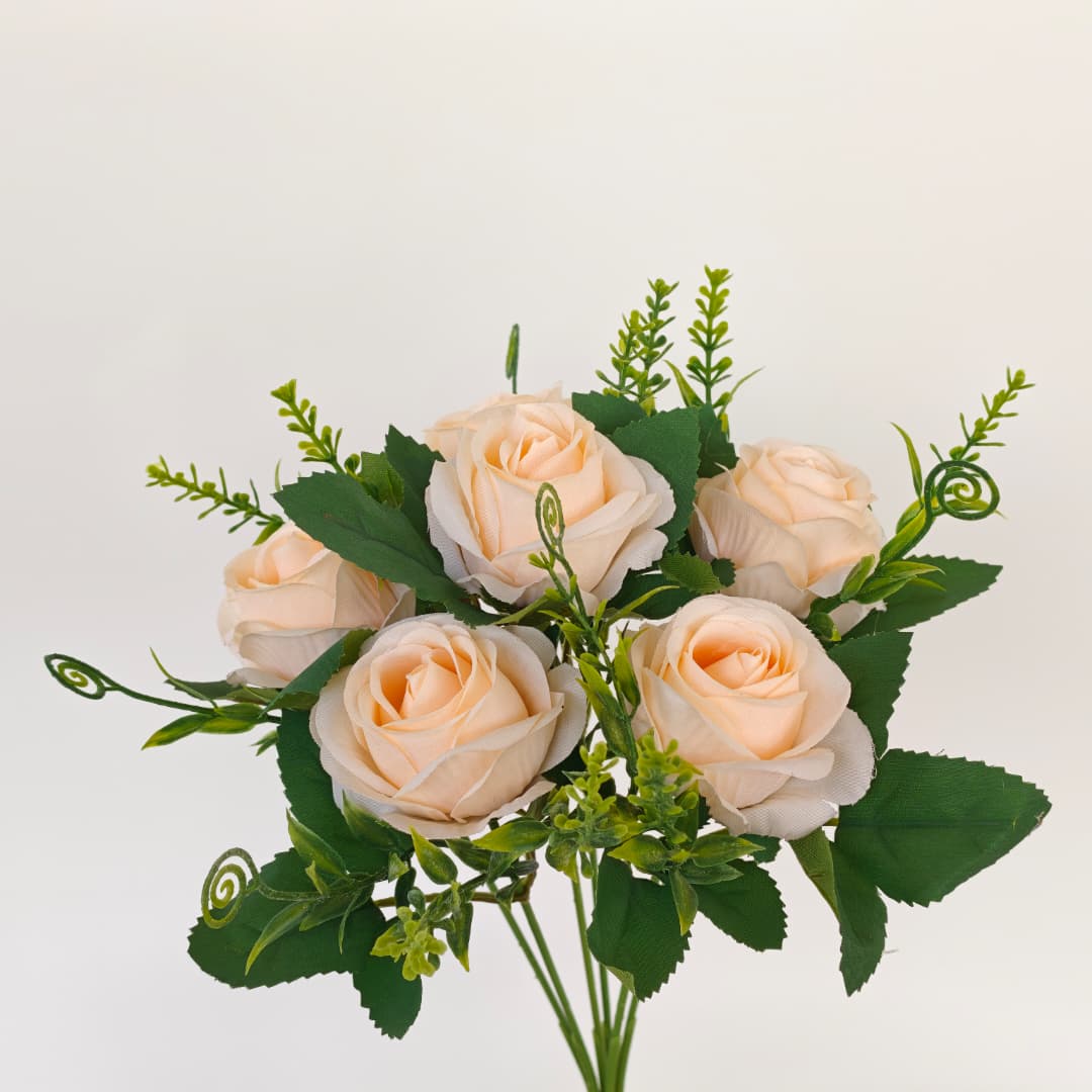 Brazil Rose x 6 | Short Flowers