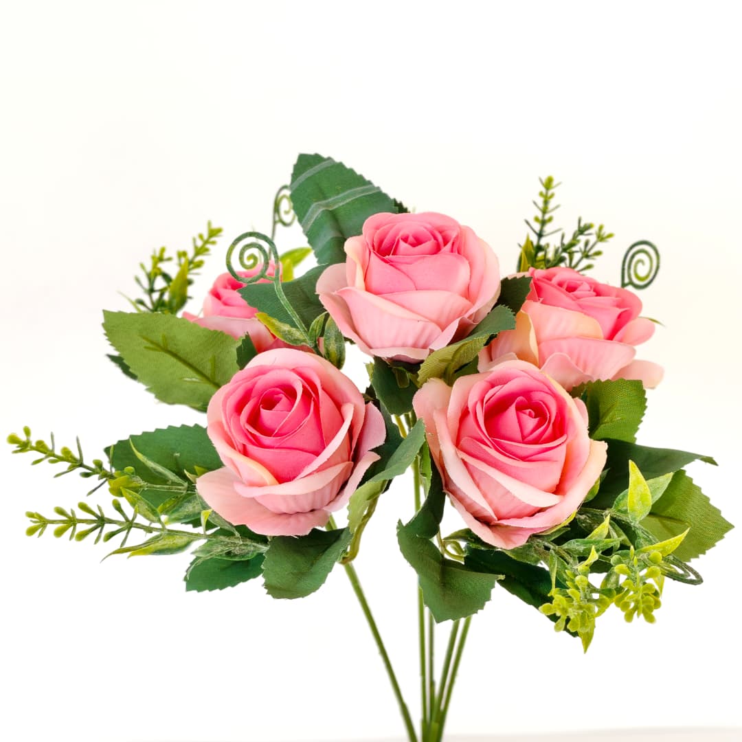 Brazil Rose x 6 | Short Flowers