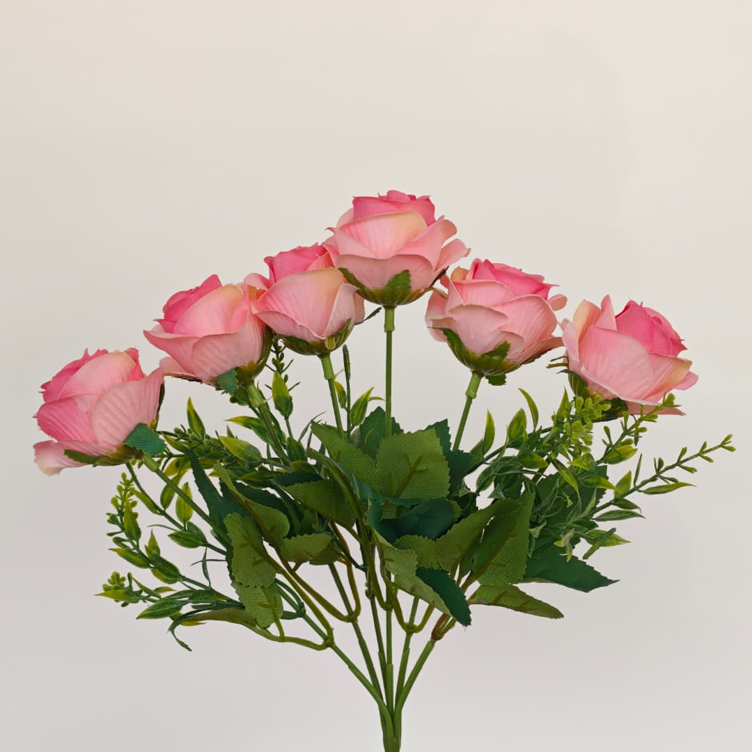 Brazil Rose x 6 | Short Flowers