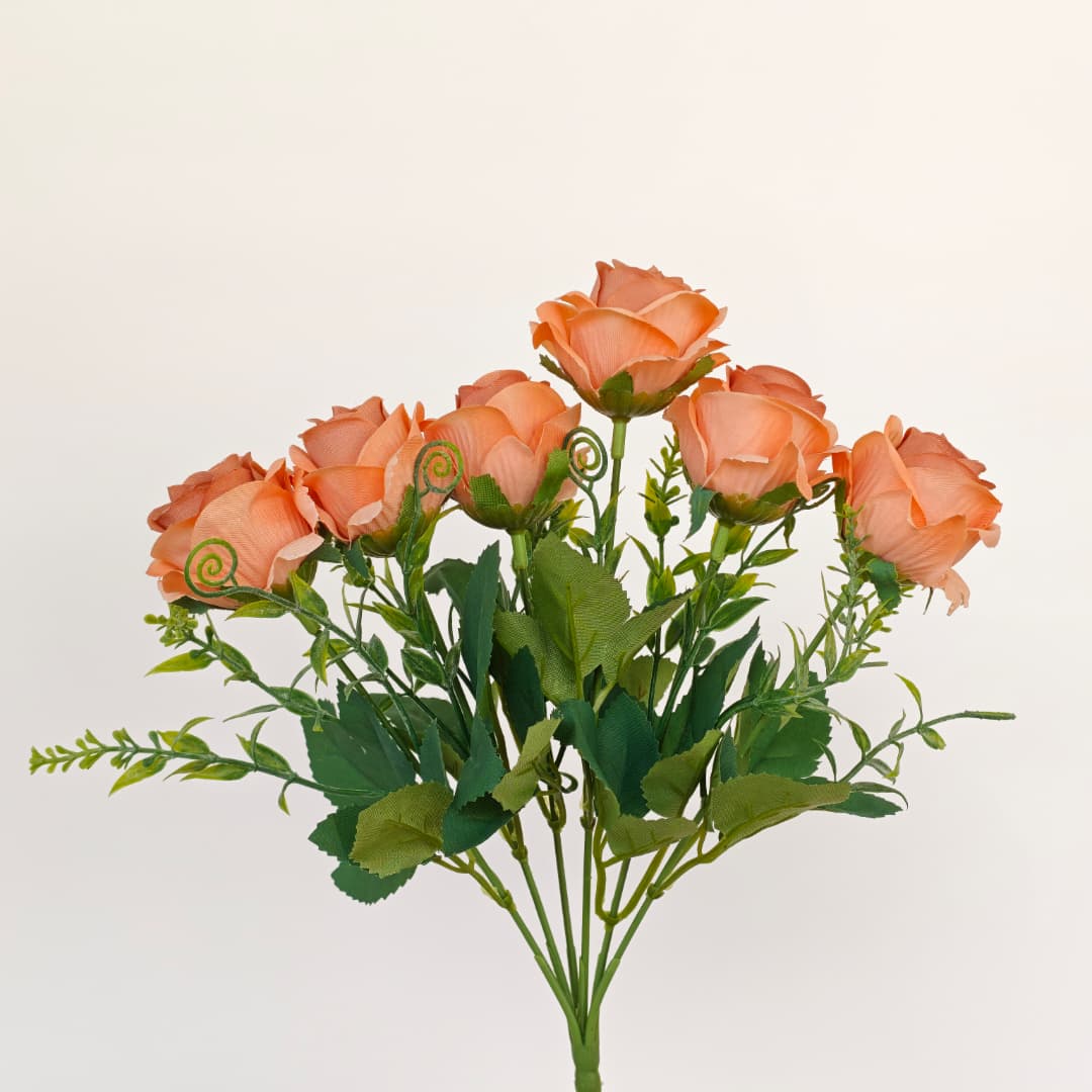Brazil Rose x 6 | Short Flowers