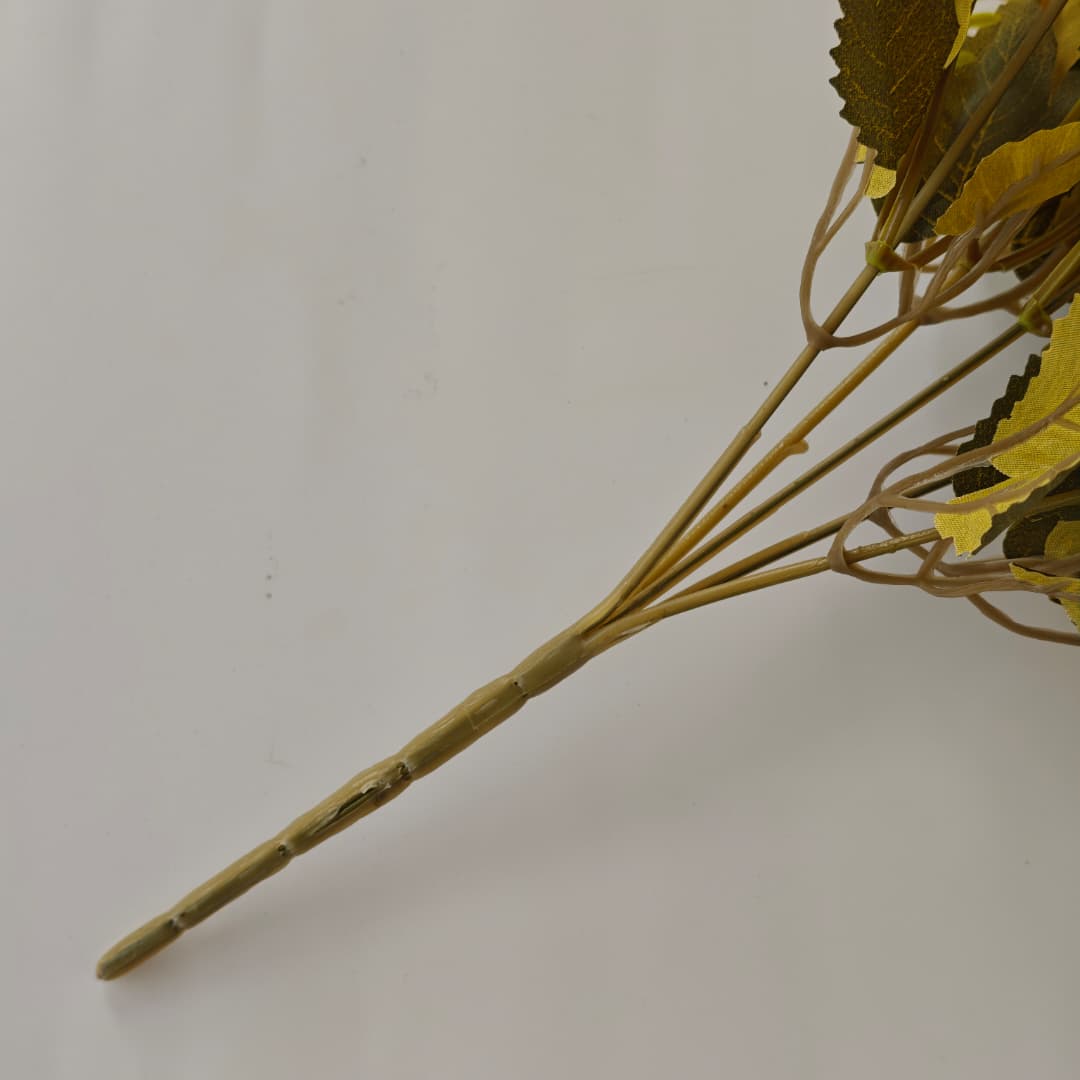 Dry Rose x 5 (30cm) | Short Flowers
