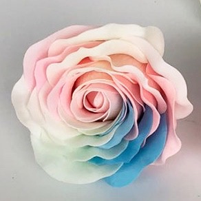 Rose Soap-Luminous Rainbow (9 Pcs) 夜光七彩玫瑰  | Soap Flowers