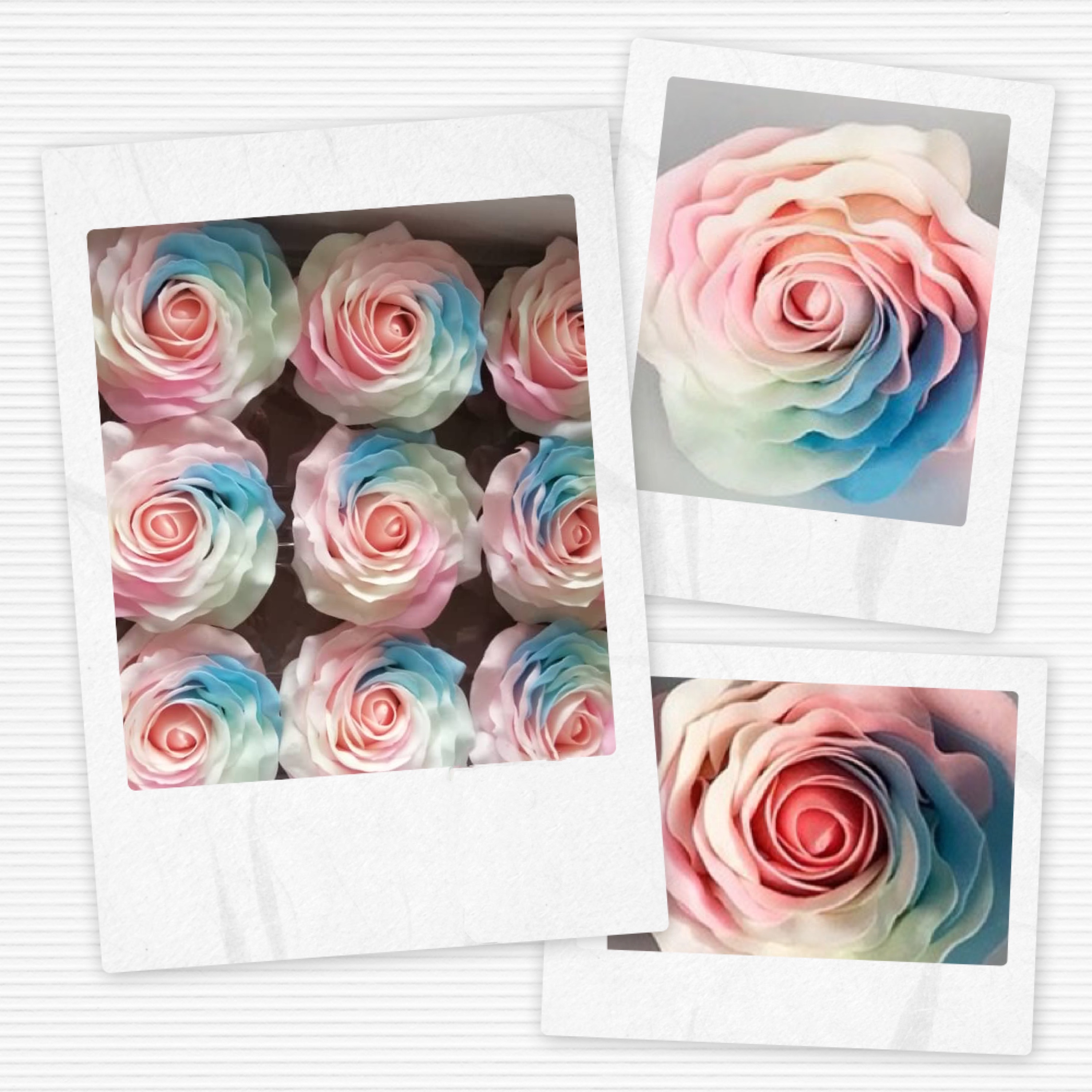 Rose Soap-Luminous Rainbow (9 Pcs) 夜光七彩玫瑰  | Soap Flowers