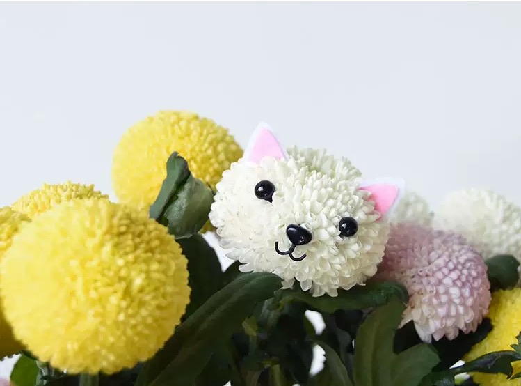 Pompon DIY Pack (5 Packs) 兵乓菊  | Decorative Accessories