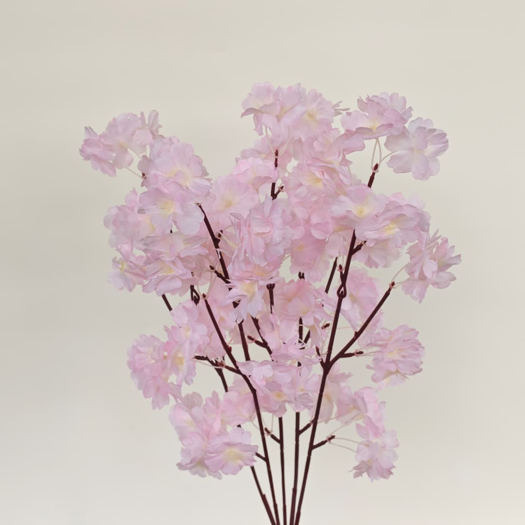 Colourful Cherry Blossom 52cm | Tall Flowers