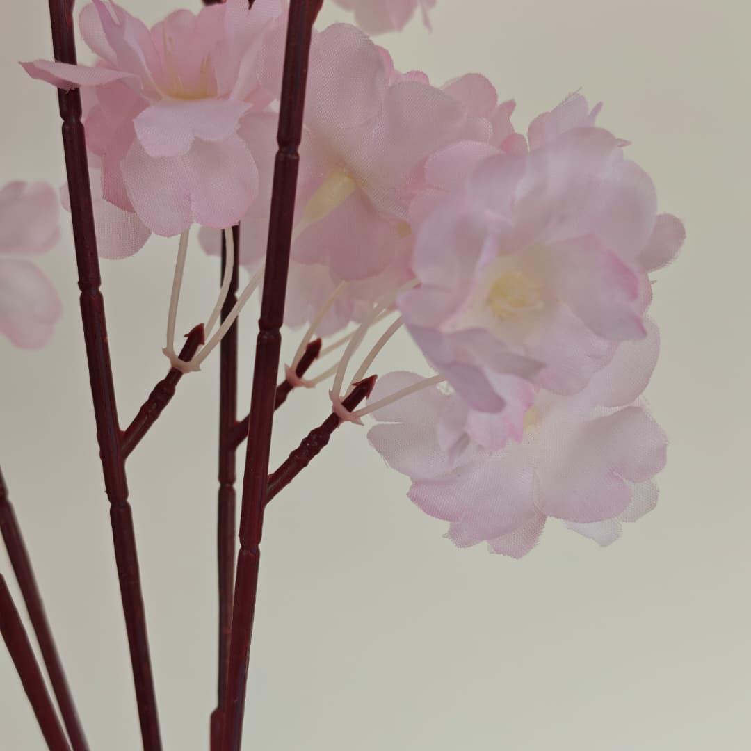 Colourful Cherry Blossom 52cm | Tall Flowers