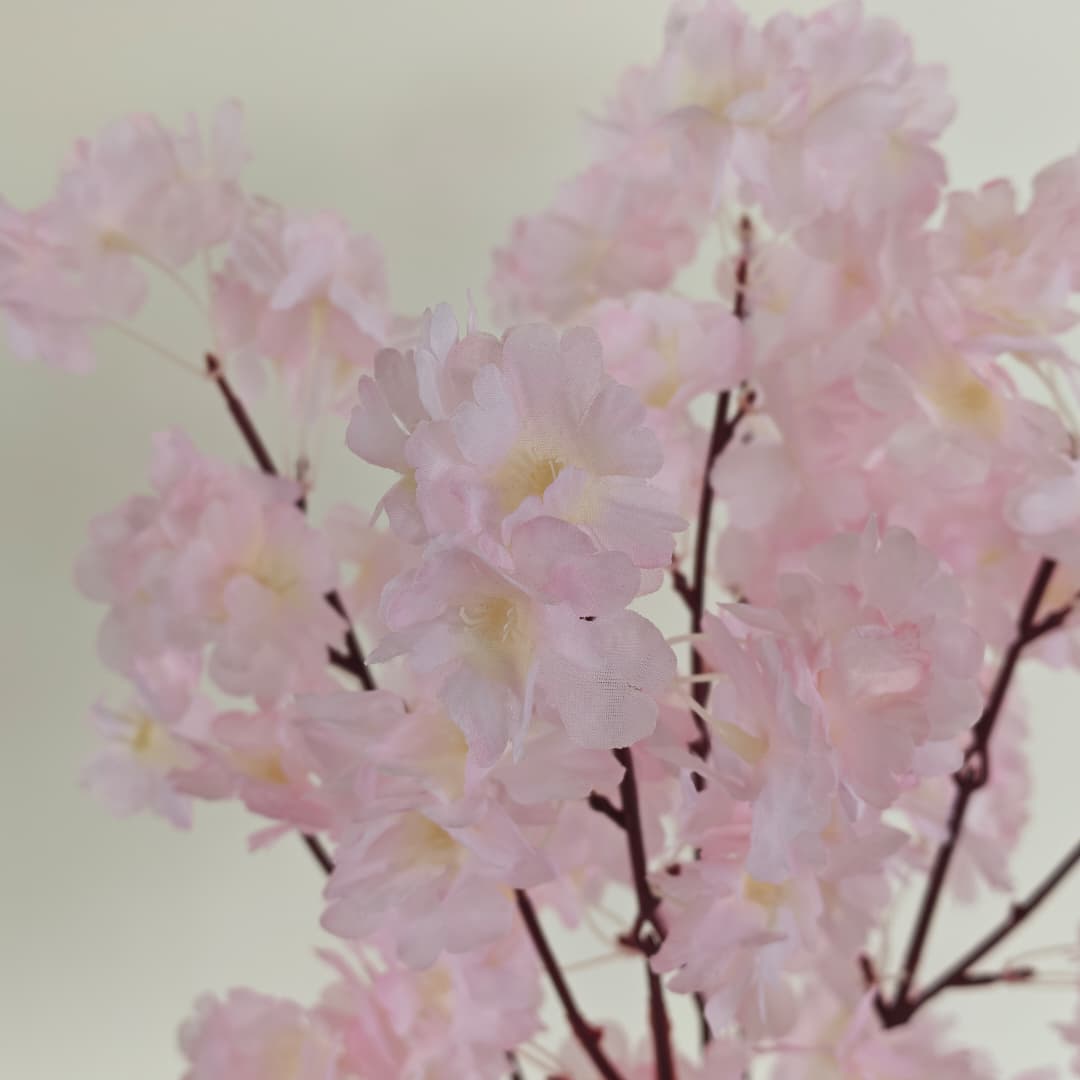 Colourful Cherry Blossom 52cm | Tall Flowers