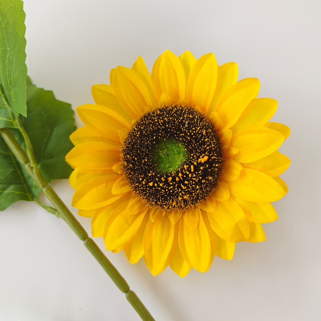 Sunflower Dia17cm, 46Hcm | Tall Flowers