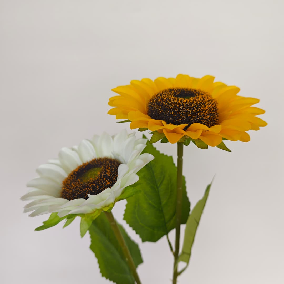 Sunflower Dia17cm, 46Hcm | Tall Flowers