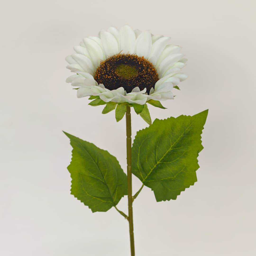 Sunflower Dia17cm, 46Hcm | Tall Flowers