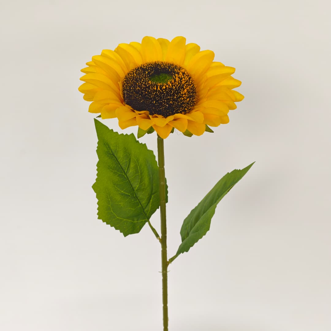 Sunflower Dia17cm, 46Hcm | Tall Flowers