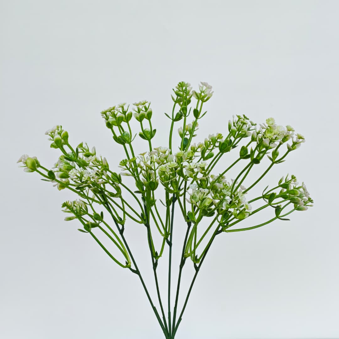 Fillerx 5 (32cm) | Fillers