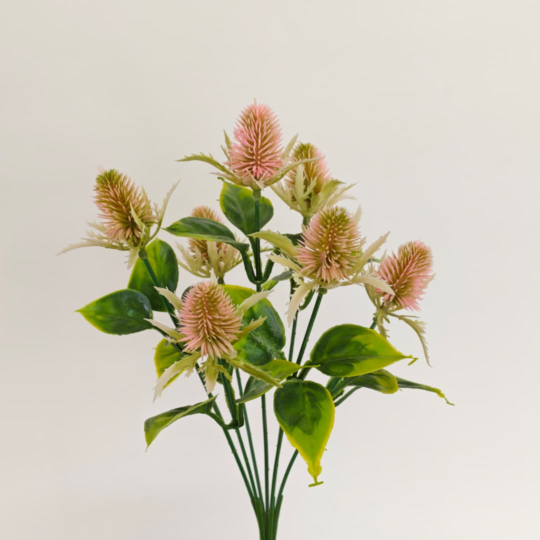 Thistle Flower x 7 (30cm) | Fillers