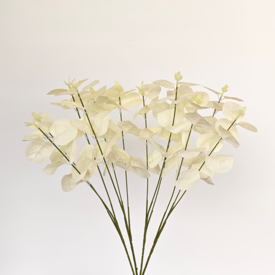 Prongs Eucalyptus x 12 (52cm) | Fillers
